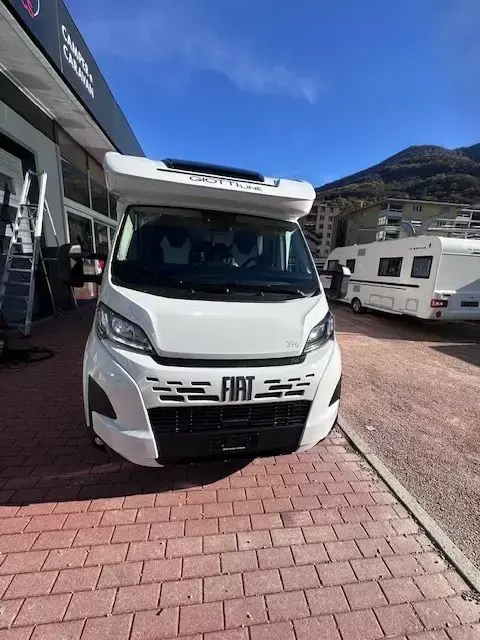 Siena 396 Premiere Edition Automatico 8G
